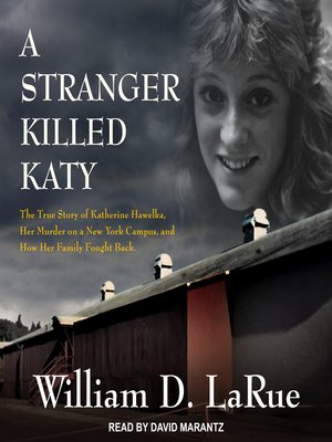 cover image of A Stranger Killed Katy